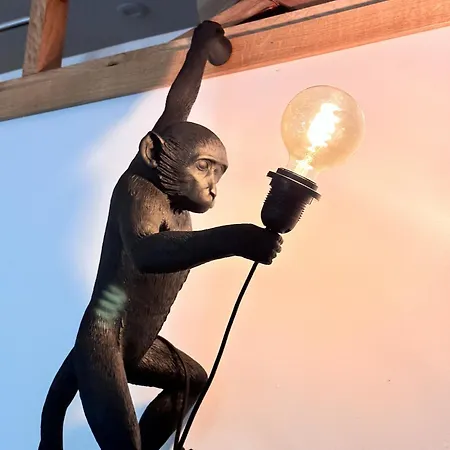 Apartment L'opale - Le Jungle Les Attaques