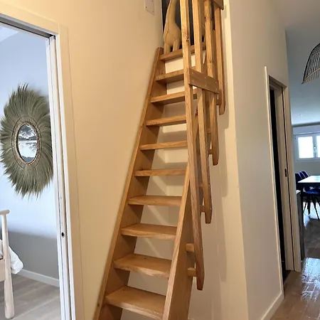 Apartment L'opale - Le Jungle