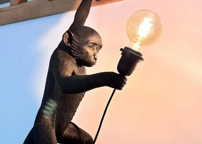 Appartement L'opale - Le Jungle Les Attaques