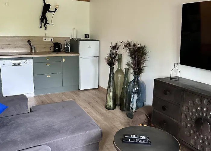 L'opale - Le Jungle Les Attaques