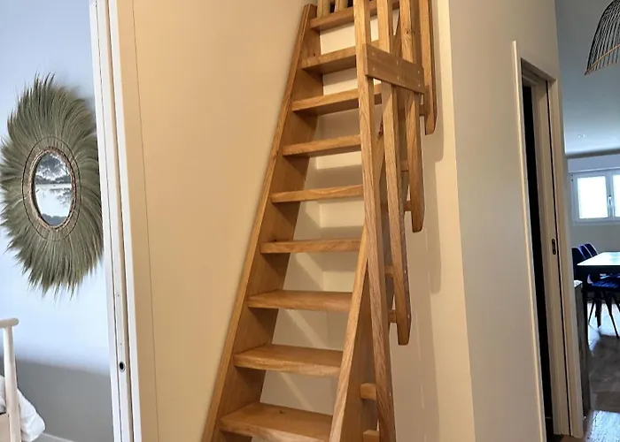 Appartement L'opale - Le Jungle